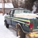 1978 Ford F-150 - Image 3