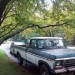 1978 Ford F 150 - Image 2